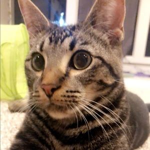 Meet your Posher, Jac